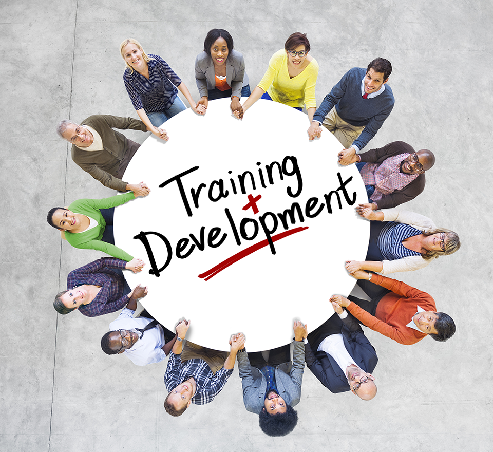 Training & Development Training & Development